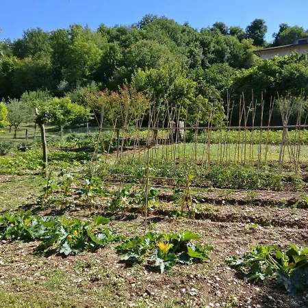 Hébergement de vacances Casa Rita *